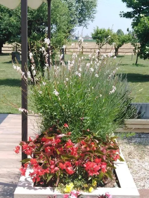 Villa Katy Tormine Holiday home